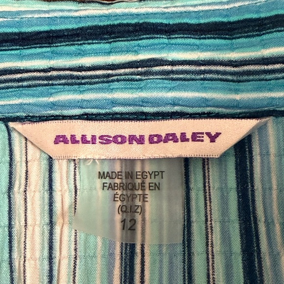 Allison Daley Teal Stripe Button Front Shirt 3/4 Sleeve Collared Blouse 12 - Picture 5 of 7